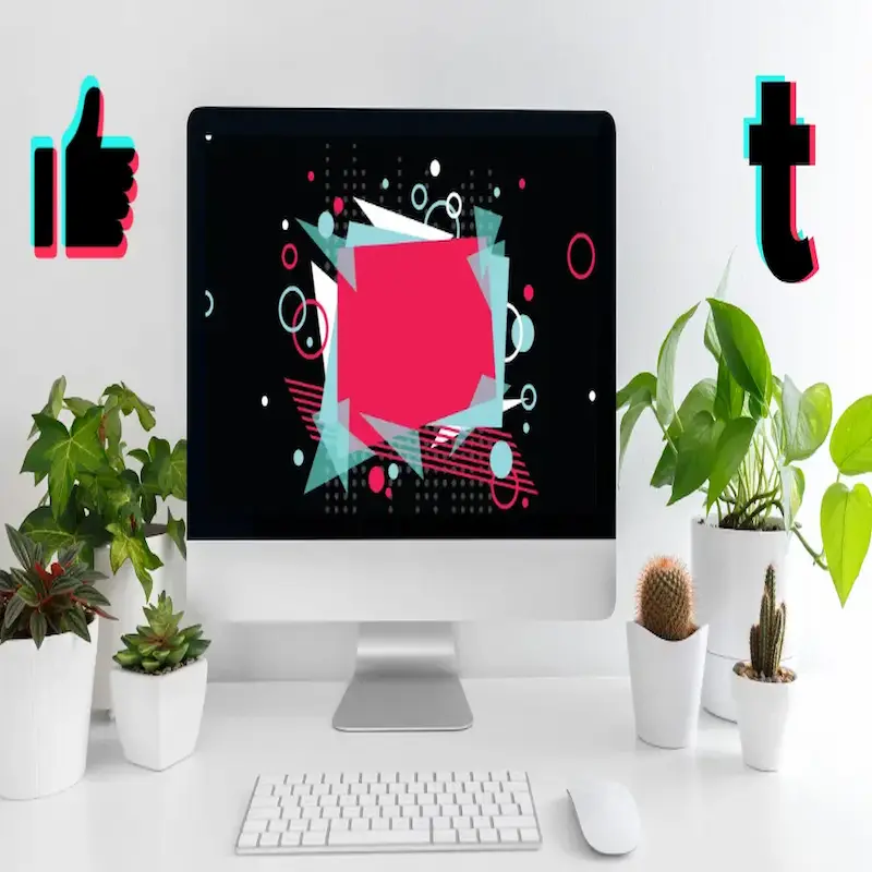 Web Profesional Plus 1 Web Profesional Plus